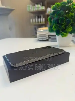 Apple iPhone 12 Pro Max 256GB (Used)