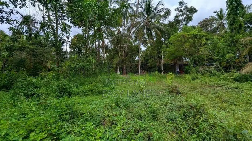 කඩවත වෑබඩින් විශාල ඉඩම් ප්‍රමාණයක් සොයන ඔබට