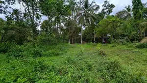 කඩවත වෑබඩින් විශාල ඉඩම් ප්‍රමාණයක් සොයන ඔබට