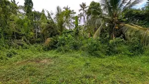 කඩවත වෑබඩින් විශාල ඉඩම් ප්‍රමාණයක් සොයන ඔබට