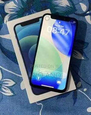 Apple iPhone 12 (Used)