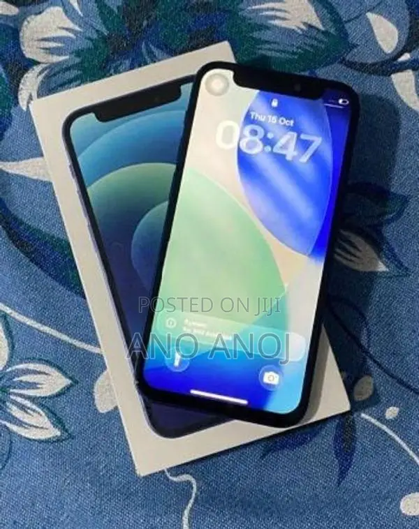 Apple iPhone 12 (Used)