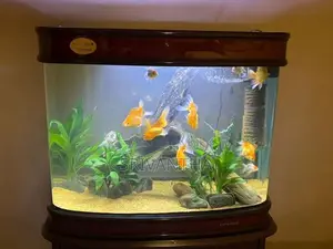 Imported Fish Tank