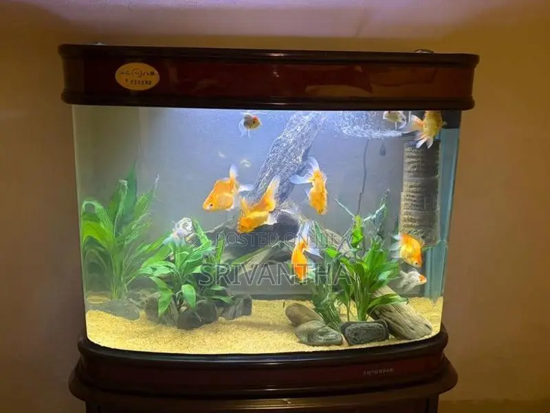 Imported Fish Tank