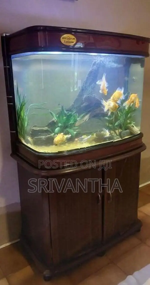 Imported Fish Tank