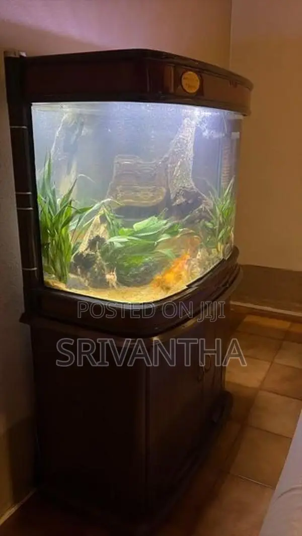Imported Fish Tank