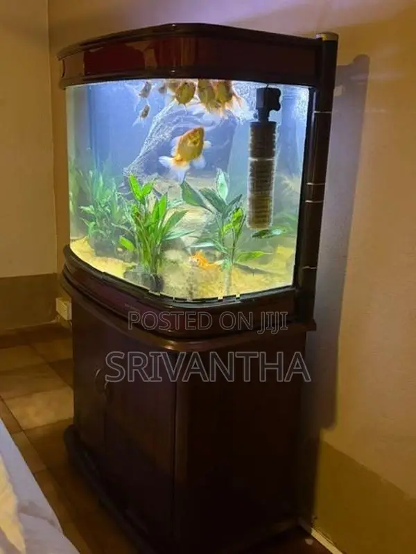 Imported Fish Tank