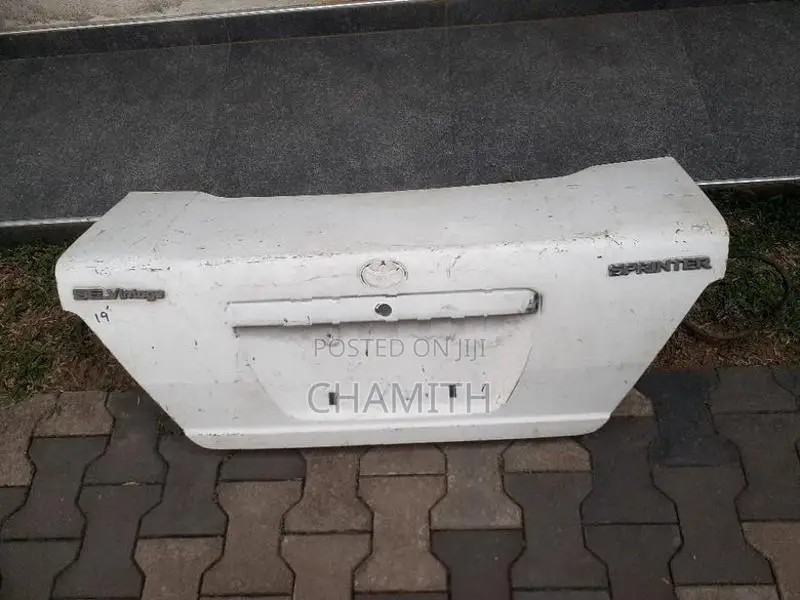 Sprinter Signal light