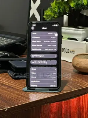 Apple iPhone 11 Pro Max 256GB (Used)