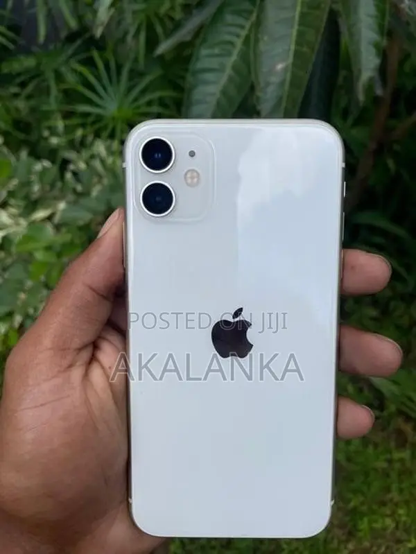 Apple iPhone 11 (Used)