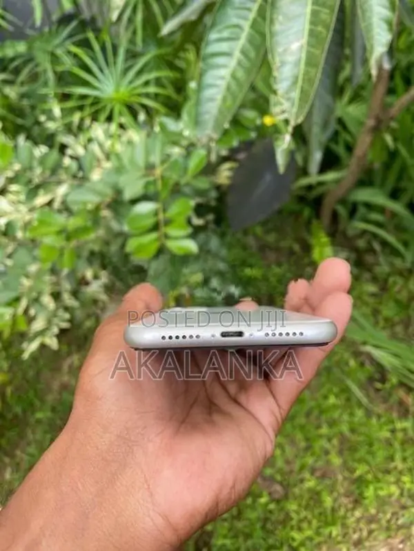 Apple iPhone 11 (Used)