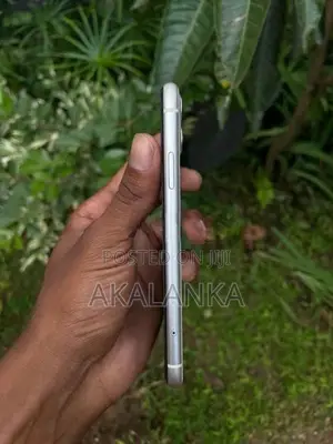 Apple iPhone 11 (Used)
