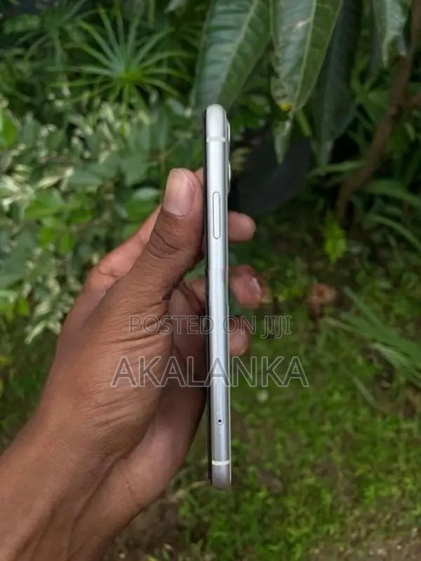 Apple iPhone 11 (Used)