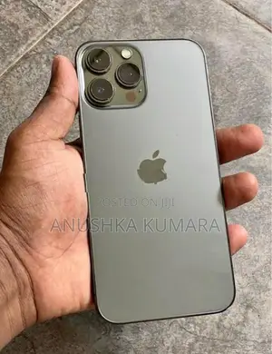 Apple iPhone 13 Pro Max (Used)