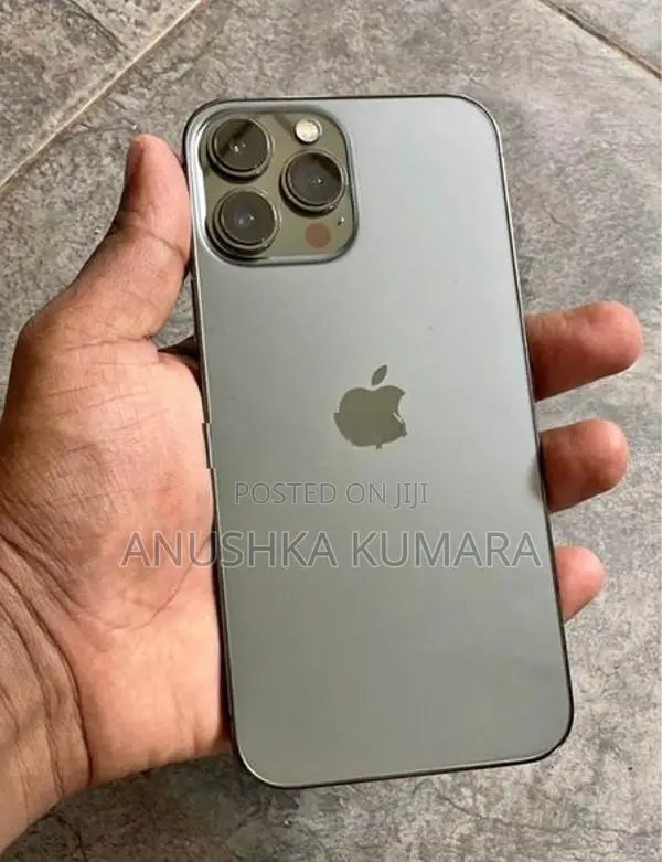 Apple iPhone 13 Pro Max (Used)
