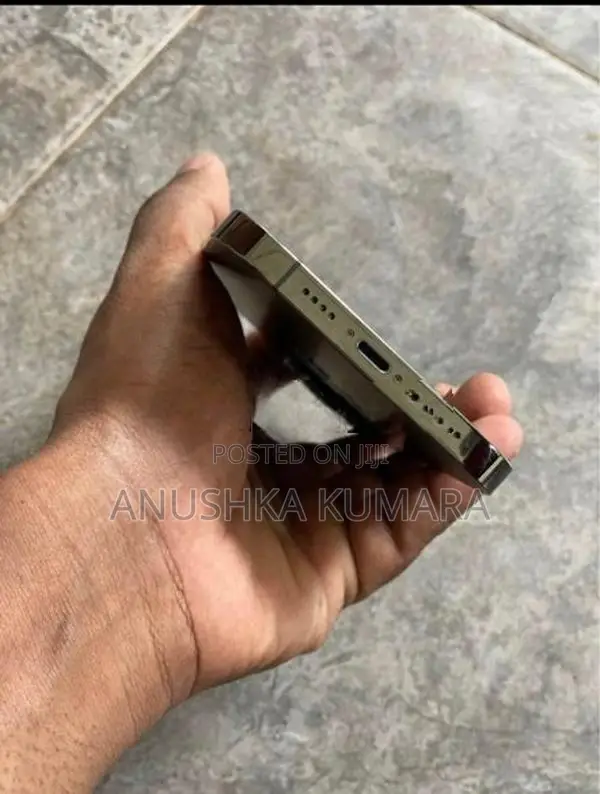 Apple iPhone 13 Pro Max (Used)