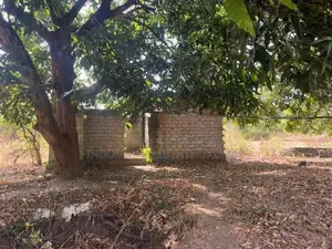 In Vavuniya