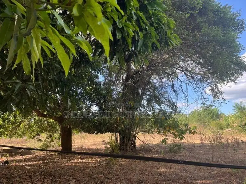 In Vavuniya