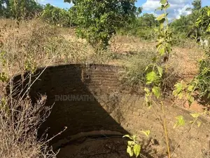 In Vavuniya