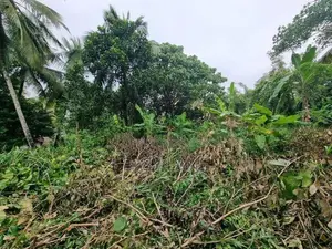 මීරිගම අධිවේගී පිවිසුමට ආසන්නයෙන් නේවාසික ඉඩමක් විකිණීමට