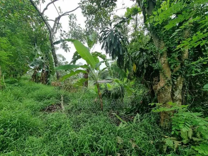 මීරිගම අධිවේගී පිවිසුමට ආසන්නයෙන් නේවාසික ඉඩමක් විකිණීමට