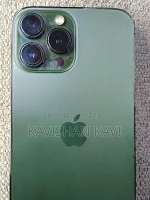 Apple iPhone 13 Pro Max (Used)