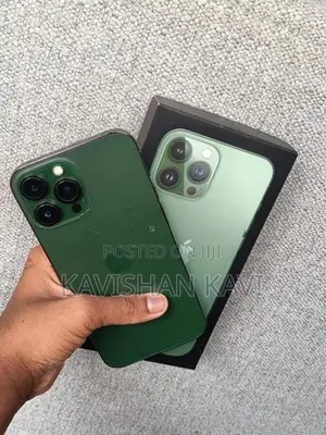 Apple iPhone 13 Pro Max (Used)
