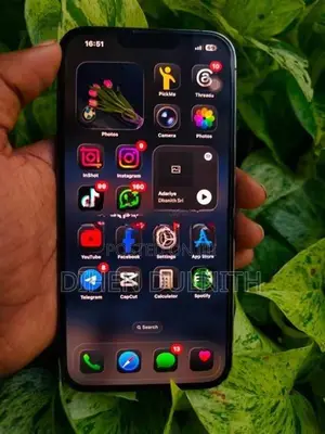Apple iPhone 13 Pro Max (Used)