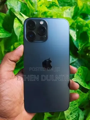 Apple iPhone 13 Pro Max (Used)