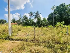ලෝලුවාගොඩ Damro අසලින් වටිනා නේවාසික ඉඩමක් In Mirigama
