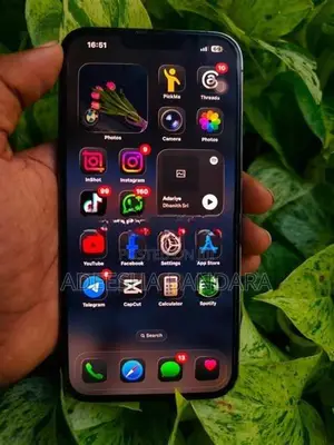 Apple iPhone 13 Pro Max (Used)