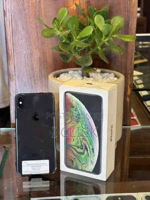Apple iPhone XS 256GB (Used)