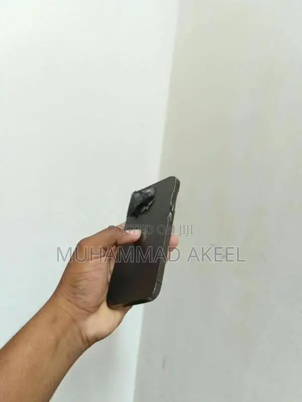 Apple iPhone 13 Pro (Used)