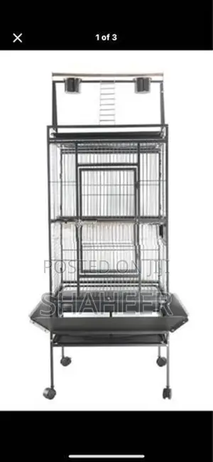 Birds Cage