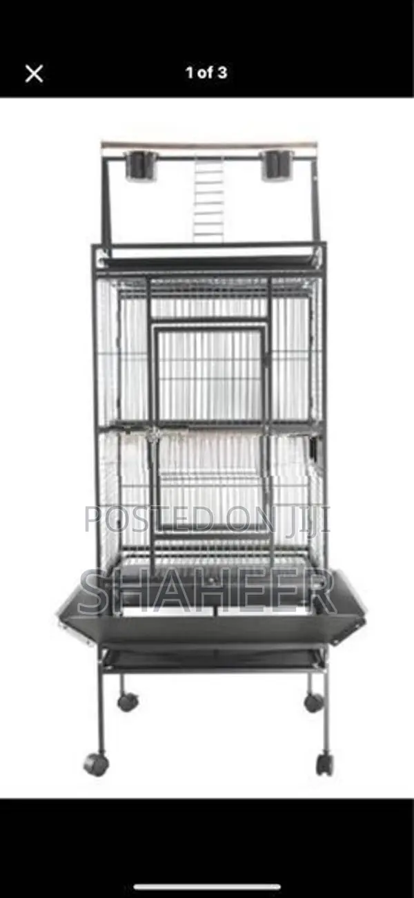 Birds Cage