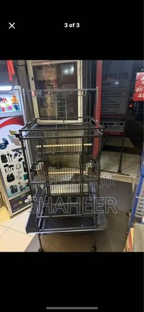 Birds Cage