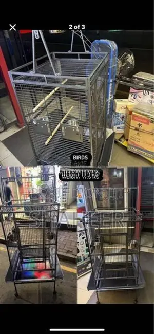 Birds Cage