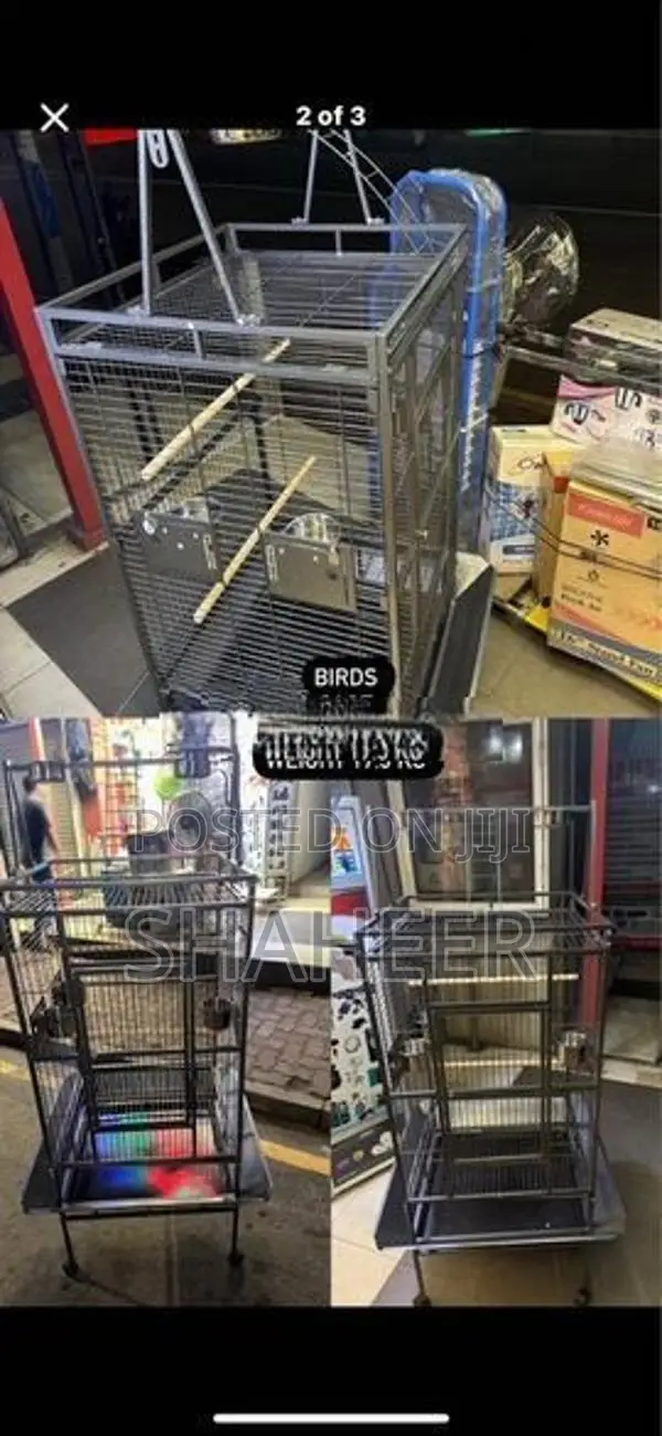 Birds Cage