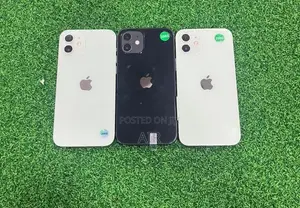 Apple iPhone 12 256GB (Refurbished)