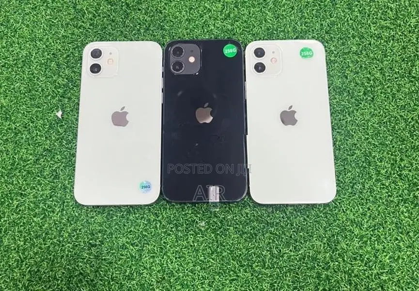 Apple iPhone 12 256GB (Refurbished)