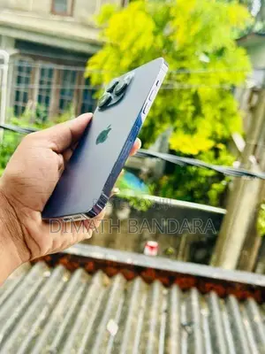 Apple iPhone 14 Pro Max (Used)