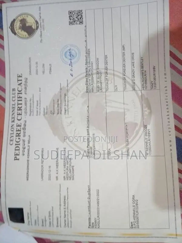 ලැබ්රඩෝඕ මාස 9 කොටුවත් සමග