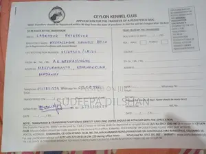 ලැබ්රඩෝඕ මාස 9 කොටුවත් සමග