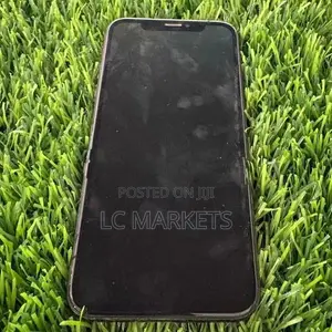Apple iPhone XS 256GB (Used)