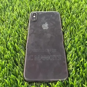 Apple iPhone XS 256GB (Used)