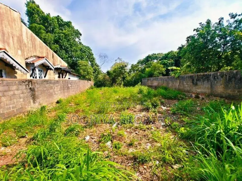 Superb Land for Sale in Ja Ela Town