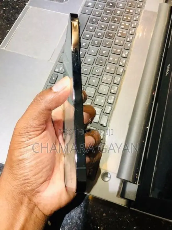 Apple iPhone 12 Pro Max 256GB (Used)