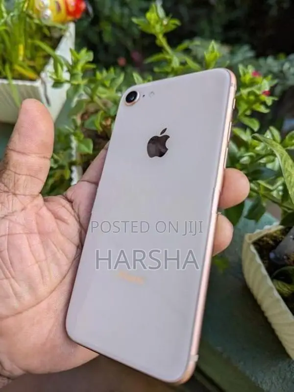 Apple iPhone 8 (Used)