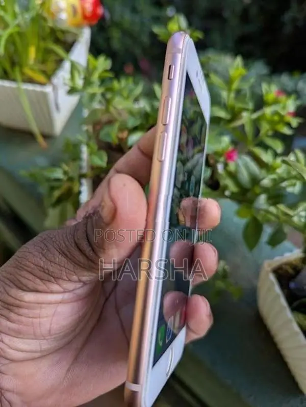 Apple iPhone 8 (Used)