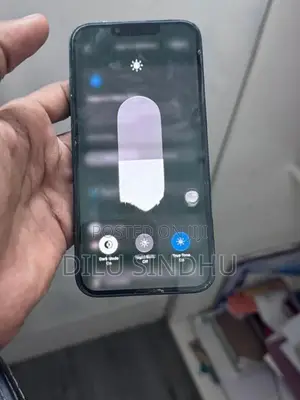 Apple iPhone 13 (Used)